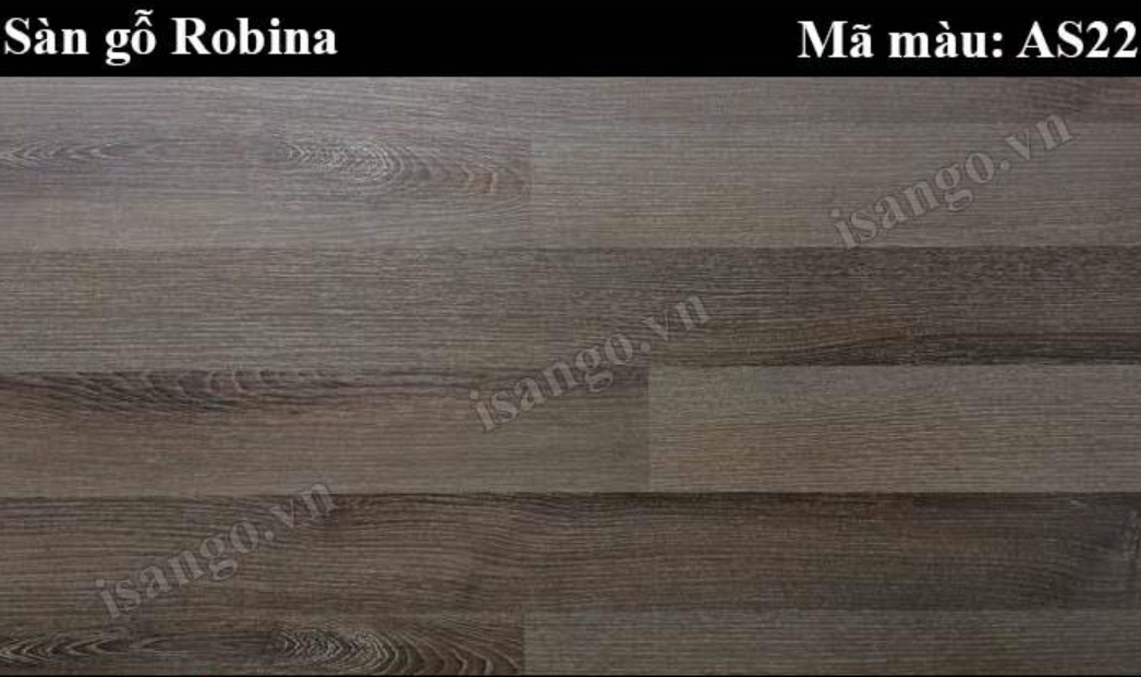 Sàn gỗ Robina AS22